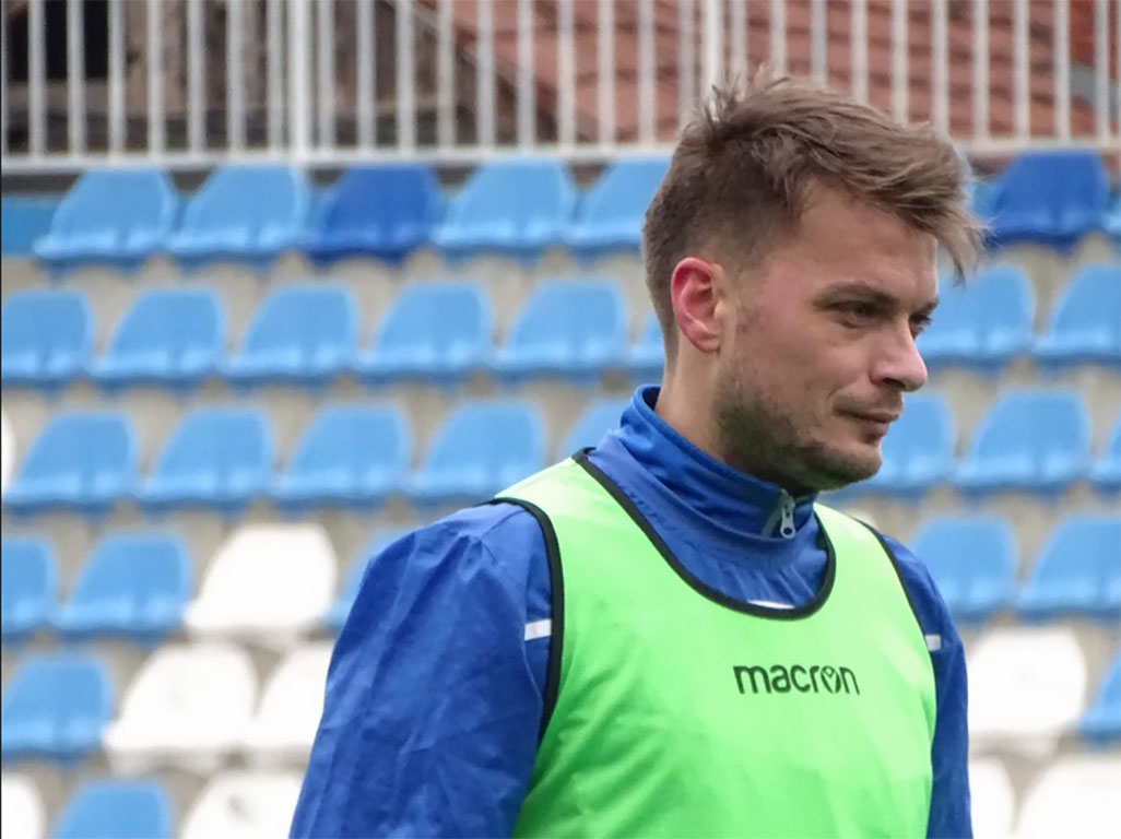 adem ljajic