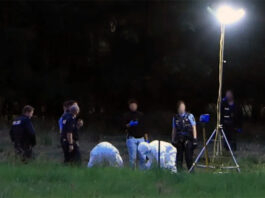 Tragedija u Njemačkoj: Supruga pronašla tijelo muškarca, pas zatečen pored njega