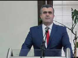edib saljic