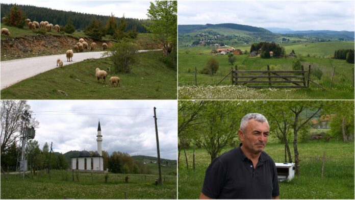 nazim elezovic